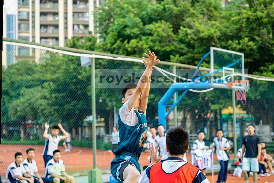 移动端界面顶部导航第二栏被高亮框选的抽象示意，展示八个入口图标按顺序排列